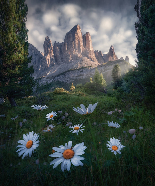 Dolomiti Summer Evening - Art Print
