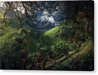 files/green-mountain-canvas-print-thumbnail-print-age.jpg