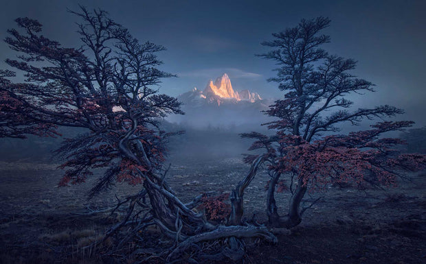 Landscapes of Patagonia - Framed Print